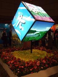 香港中华厂商联合会展览服务有限公司 引领香港会议及展览行业的卓越力量